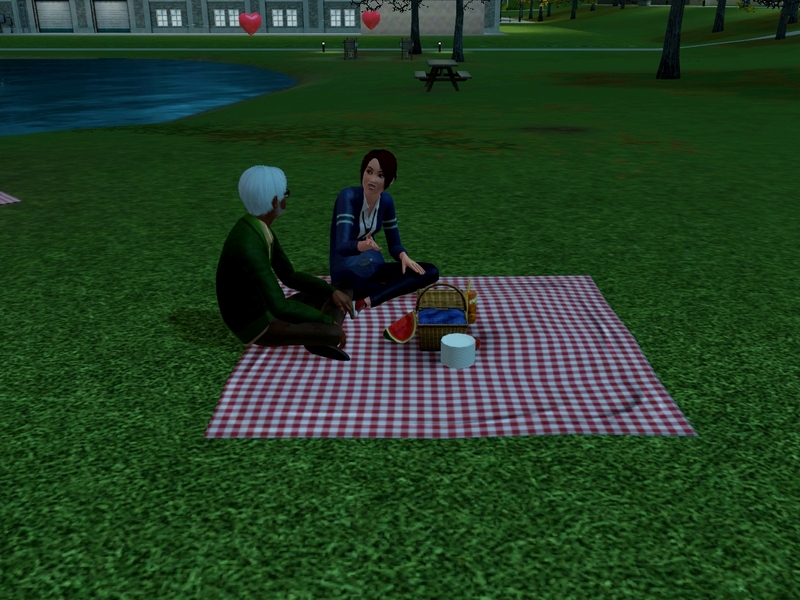 1.1.58 - picnic date